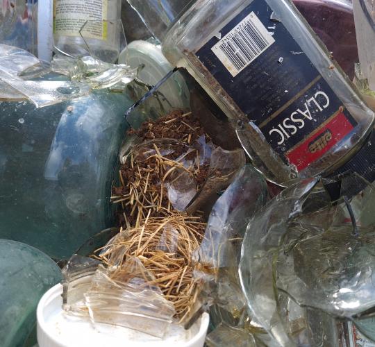 Gerbkime vieni kitus: kodėl svarbu atsakingai rūšiuoti atliekas?